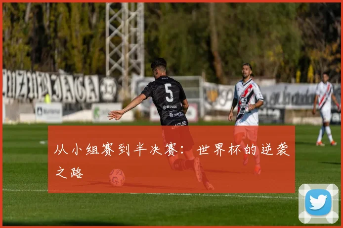 从小组赛到半决赛：世界杯的逆袭之路