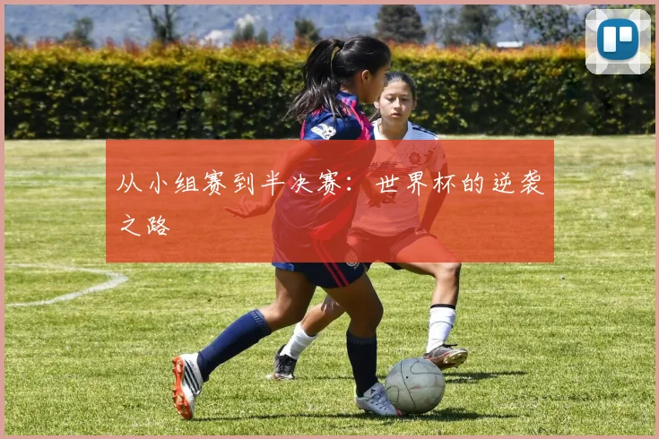 从小组赛到半决赛：世界杯的逆袭之路