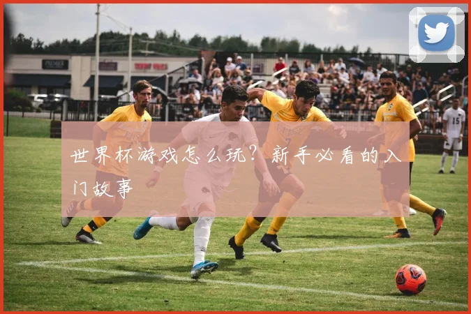世界杯游戏怎么玩？新手必看的入门故事