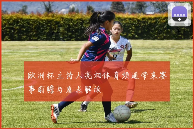 欧洲杯主持人亮相体育频道带来赛事前瞻与看点解读