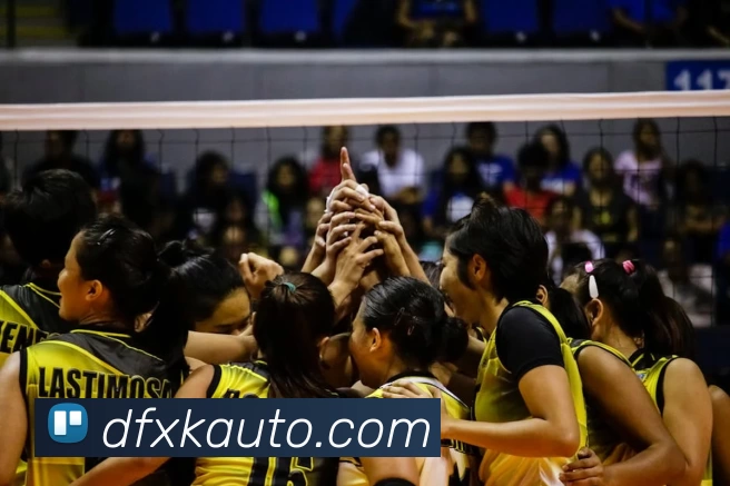 华体育会hth发展历程